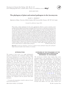 The phylogeny of plant and animal pathogens in the Ascomycota