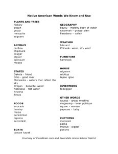 Native American Words We Know and Use