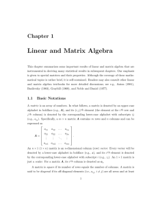 Linear and Matrix Algebra
