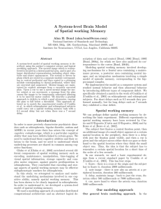 A System-level Brain Model of Spatial working Memory