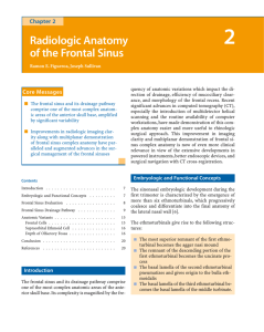 Radiologic Anatomy of the Frontal Sinus