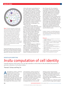 Molecular computing: In situ computation of cell identity