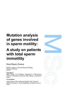 A study on patients with total sperm immotility