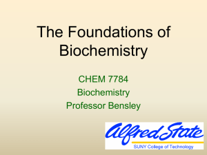 The Foundations of Biochemistry