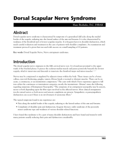 Dorsal Scapular Nerve Syndrome - Markham Ontario Chiropractor