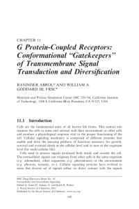 G Protein-Coupled Receptors: Conformational ''Gatekeepers'' of