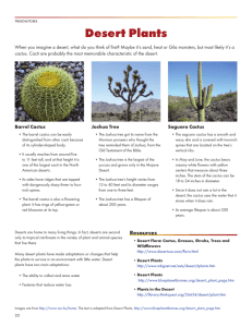 Desert Plants - Western Reserve Public Media