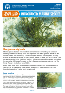 Introduced Marine Species - Department Of Fisheries Western