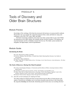 Tools of Discovery and Older Brain Structures