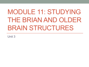 Module 11: Studying the Brian and Older Brain Structures
