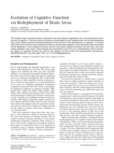 Evolution of Cognitive Function via Redeployment of Brain Areas