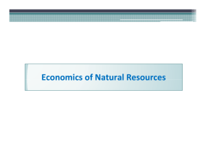 Economics of Natural Resources