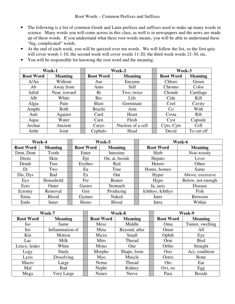 Medical Terms With Prefix Root Word And Suffix Examples