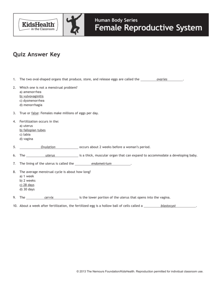 Pin By Agc On Worksheets Female Reproductive System