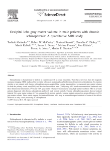 Occipital lobe gray matter volume in male patients with chronic