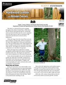 Hardwood Lumber and Veneer Series: Ash