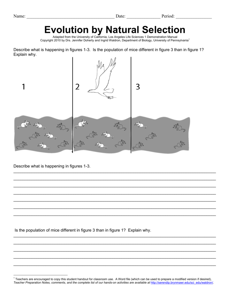 Evolution by natural selection worksheet