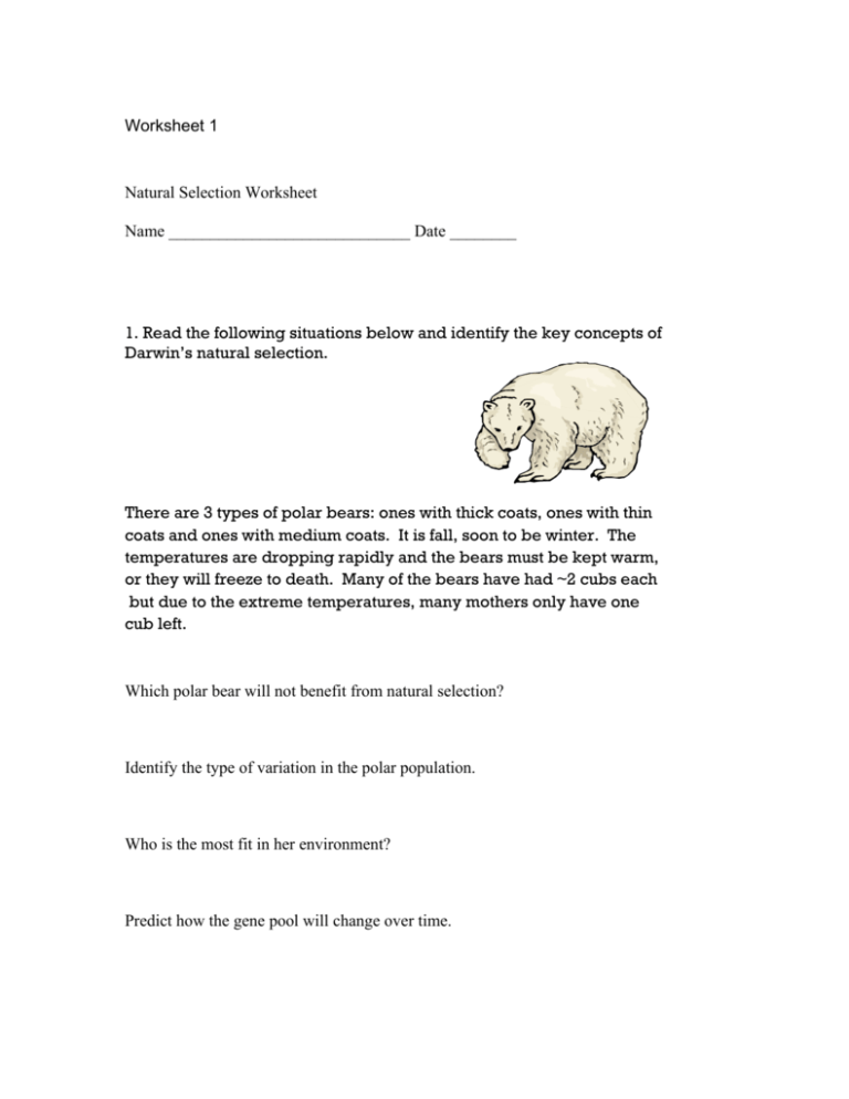 Natural Selection Worksheet 1 Summer Research Program For