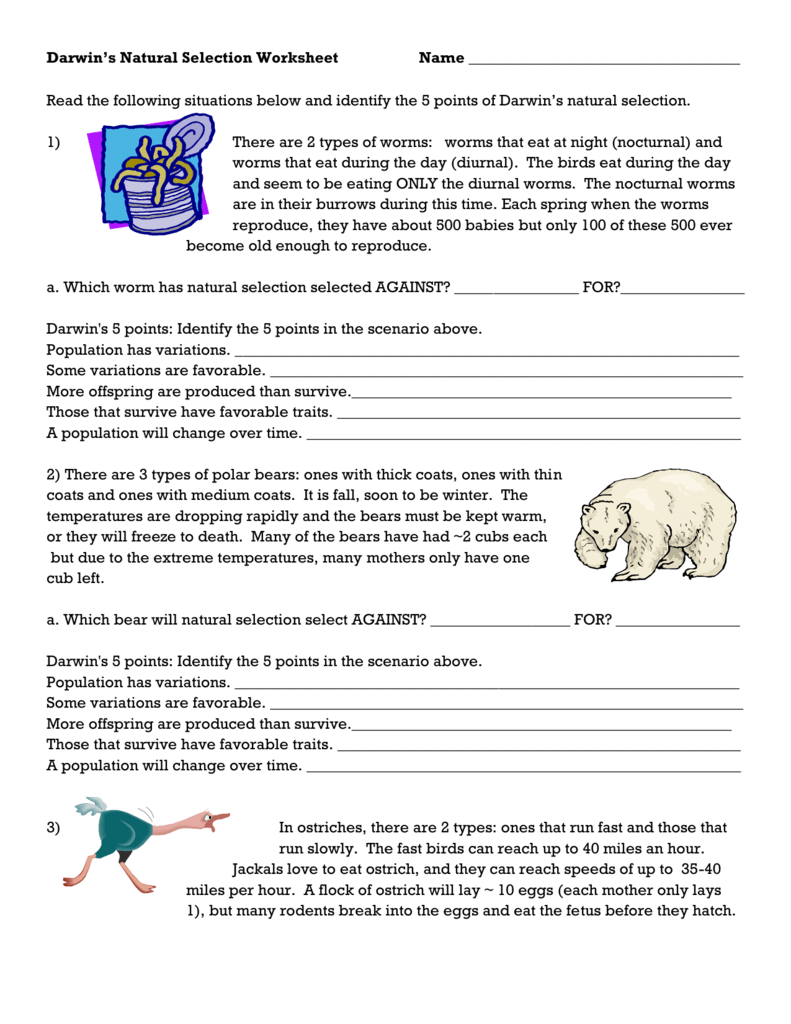 Natural Selection Worksheets Pertaining To Darwin039s Natural Selection Worksheet Answers