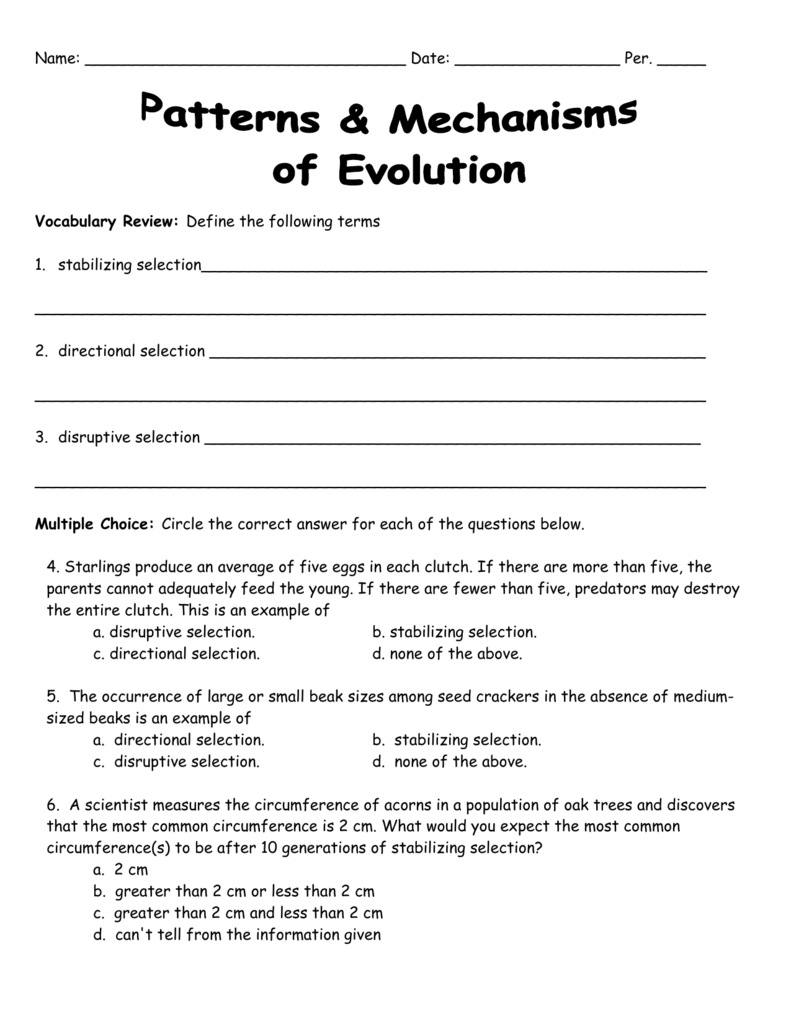 Natural Selection Worksheets Intended For Darwin039s Natural Selection Worksheet