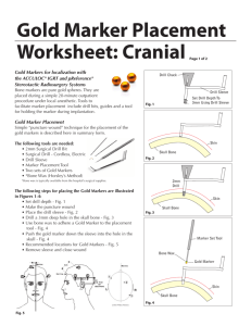 Gold Marker Placement Worksheet: Cranial