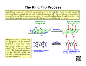 The Ring Flip Process