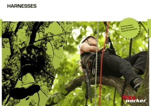 tree harnesses
