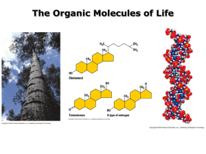 The Organic Molecules of Life
