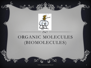 Organic molecules (biomolecules)