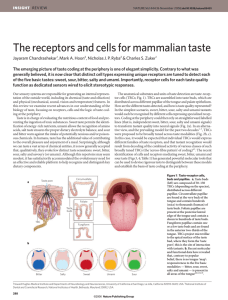 The Receptors and Cells for Mammalian Taste