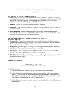 9-1 FUNCTIONS OF THE MUSCULAR SYSTEM 1. Movement