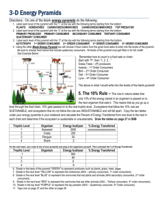 3D ENERGY PYRAMID Directions and Templates
