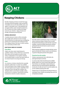 Keeping Chickens - Actsmart.act.gov.au