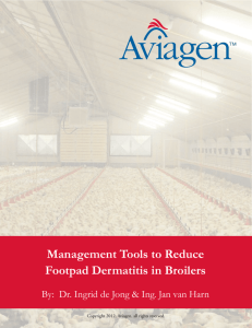 Management Tools to Reduce Footpad Dermatitis in Broilers