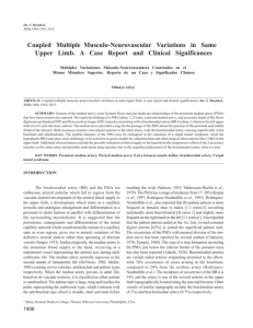 Coupled Multiple Musculo-Neurovascular Variations in