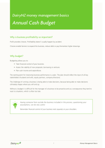 Annual Cash Budget