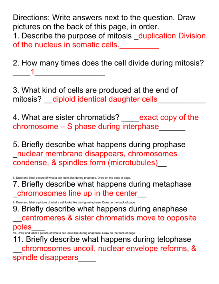 meiosis-vs-mitosis-worksheet-key