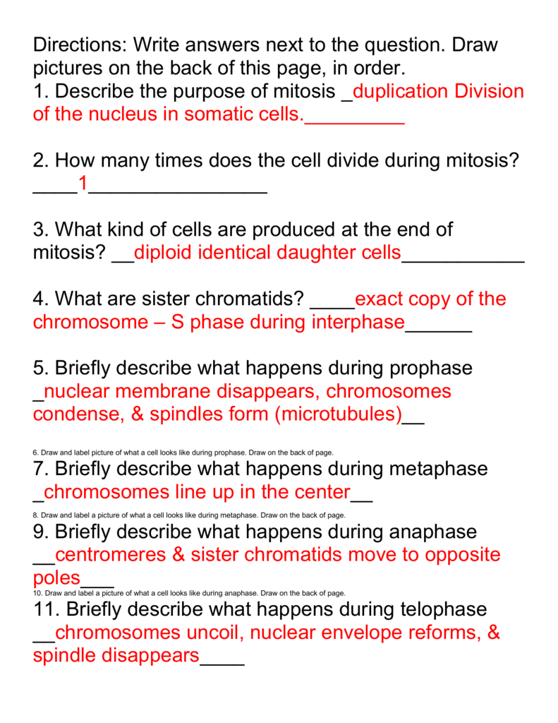 Cell Division Reading Comprehension Worksheet Mitosis And ...