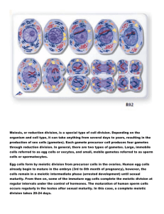 Meiosis, or reduction division, is a special type of cell division