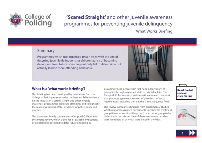 scared-straight-what-works-centre-for-crime-reduction