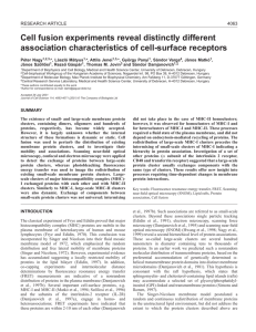 Dynamic membrane protein clusters - Journal of Cell Science