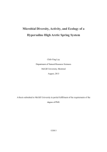 Microbial Diversity, Activity, and Ecology of a