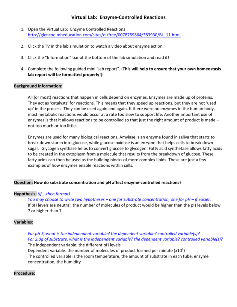 Ap Biology Enzymes At Work Worksheet Answers