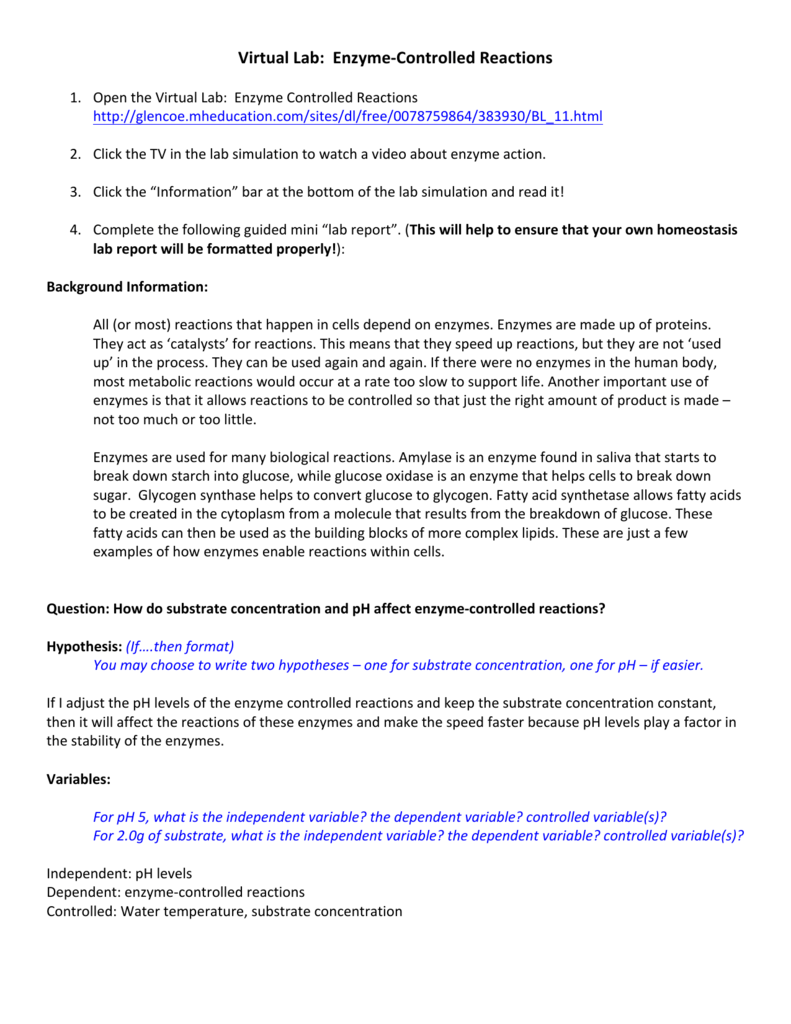 😎 Enzyme concentration lab report. What Effects of