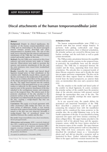 Discal attachments of the human temporomandibular joint