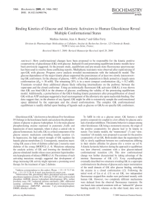 Binding Kinetics of Glucose and Allosteric Activators to Human