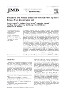Structural and Kinetic Studies of Induced Fit in Xylulose Kinase from