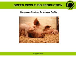 GREEN CIRCLE PIG PRODUCTION