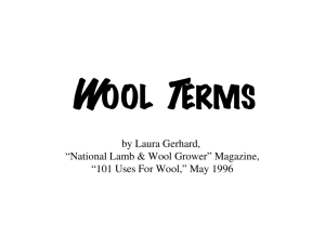 Wool Terms