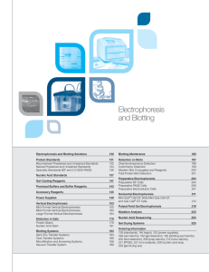 Electrophoresis and Blotting